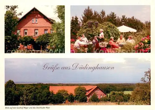 AK / Ansichtskarte Duedinghausen_Grafschaft_Schaumburg Gasthof Meyer Terrasse Blick zum Steinhuder Meer Duedinghausen_Grafschaft