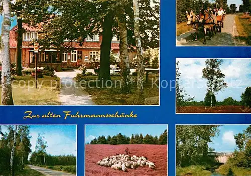 AK / Ansichtskarte Eversen_Celle Zur alten Fuhrmannsschaenke Pferdewagen Heidepartien Schafherde Eversen_Celle