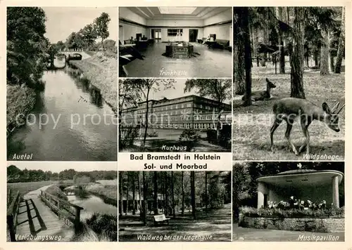 AK / Ansichtskarte Bad_Bramstedt Auetal Trinkhalle Kurhaus Wildgehege Verlobungsweg Waldweg bei der Liegehalle Musikpavillon Bad_Bramstedt