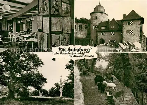 AK / Ansichtskarte Beberbeck Die Sababurg das Dornroeschenschloss im Reinhardswald Wildgehege Beberbeck