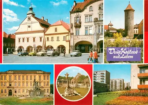 AK / Ansichtskarte Dvur_Kralove_nad_Labem_CZ Renesancni radnice Sindelarska vez Gymnazium s pomnikem padlym Zirafy z expozice Vc ZOO safari Nova vystavba 