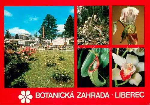 AK / Ansichtskarte Liberec_Reichenberg Botanicka zahrada Sklenikovy areal zahrady 