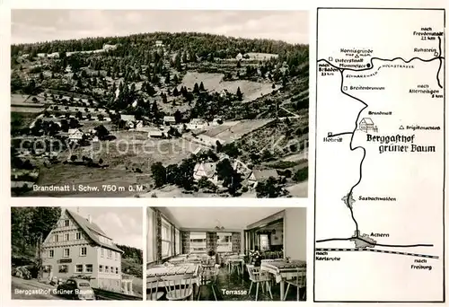 AK / Ansichtskarte Brandmatt_Schwarzwald Panorama Berggasthof Gruener Baum Terrasse Brandmatt Schwarzwald