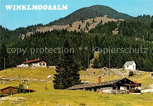 AK / Ansichtskarte Reit_Winkl Winklmoosalm Panorama Reit_Winkl