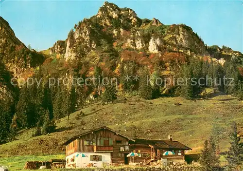 AK / Ansichtskarte Chiemgau Bruending Alm mit Hochfelln Chiemgau