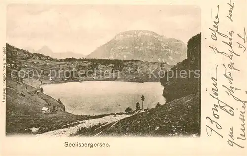 AK / Ansichtskarte Seelisbergersee_UR Panorama 