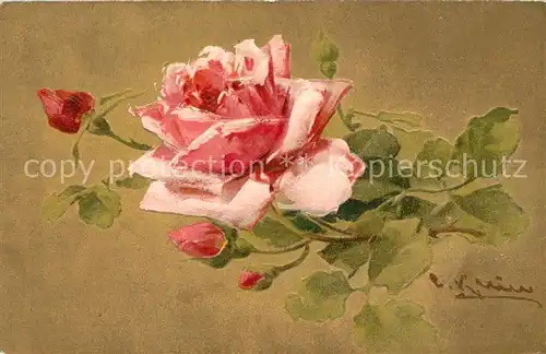 AK / Ansichtskarte Klein_Catharina Nr.5598 Rosse 