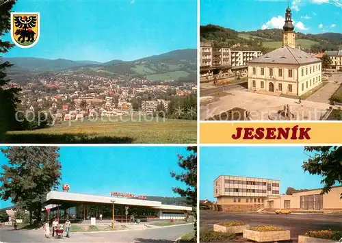 AK / Ansichtskarte Jesenik Celkovy pohled NamestiRude armady s radnici VelkoprodejnaDukla Hotel Zlaty chlum Jesenik