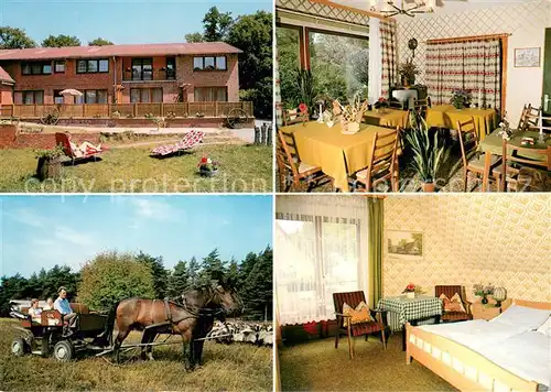 AK / Ansichtskarte Undeloh Ferien auf dem Bauernhof Heinrich Heins Gaststube Pferdekutsche Gaestezimmer Undeloh