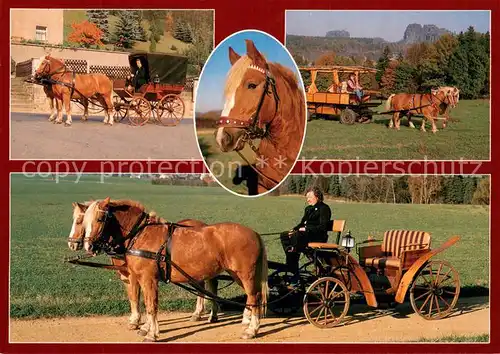 AK / Ansichtskarte Reinhardtsdorf_Bad_Schandau Kutsch und Kremserfahrten Frank Fischer Details Reinhardtsdorf_Bad