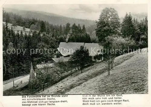 AK / Ansichtskarte Krippen_Bad_Schandau forstmuehle im Krippengrund Krippen_Bad_Schandau