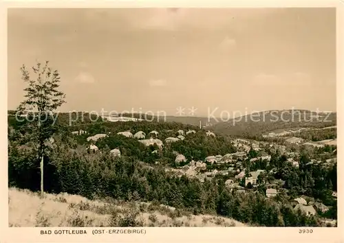 AK / Ansichtskarte Bad_Gottleuba Berggiesshuebel Teilansicht Bad