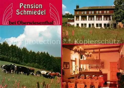 AK / Ansichtskarte Oberwiesenthal_Erzgebirge Pension Schmiedel Gaststube Rinderherde Bergwiese Oberwiesenthal Erzgebirge