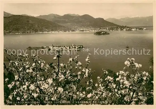 AK / Ansichtskarte Isola_Superiore_Lago_Maggiore Verbania Pallanza Isola_Superiore