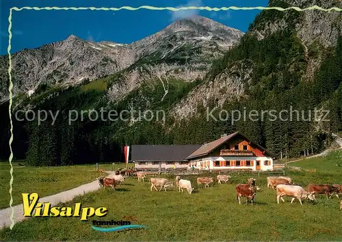AK / Ansichtskarte Vilsalpsee Alm Wirtschaft Vilsalpe Almwieh Kuehe Vilsalpsee