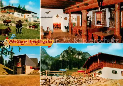AK / Ansichtskarte Bergen_Chiemgau Berggasthaus oederkaser auf der Bruendlingsalm Almgasthaus Alpen Bergen Chiemgau