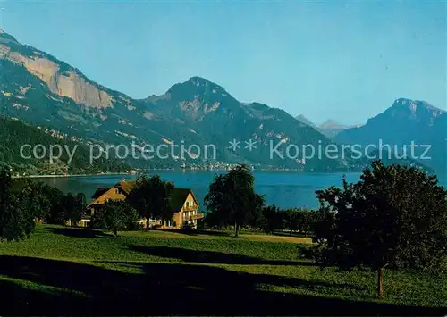 AK / Ansichtskarte Weggis_Vierwaldstaettersee Hotel Pension Friedheim Weggis_Vierwaldstaettersee