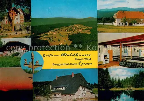 AK / Ansichtskarte Waldhaeuser_Neuschoenau Hotel Berggasthof Lusen Wegekreuz Terrasse Gastraum Seepartie Waldhaeuser Neuschoenau