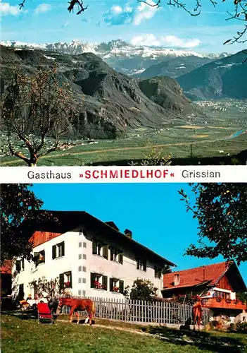 AK / Ansichtskarte Grissian Panorama Gasthaus Schmiedlhof Grissian