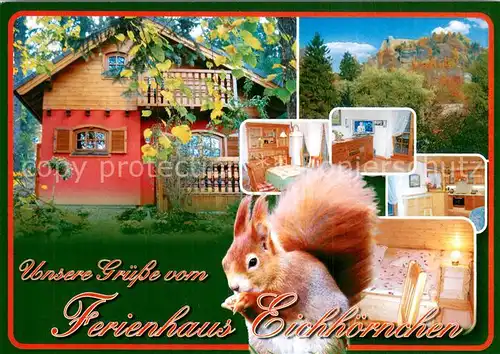 AK / Ansichtskarte Oybin Ferienhaus Eichhoernchen Oybin
