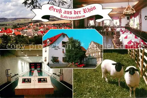 AK / Ansichtskarte Kaltensundheim Panorama Landgasthof Zur Guten Quelle Gaststube Kegelbahn Schafe Kaltensundheim