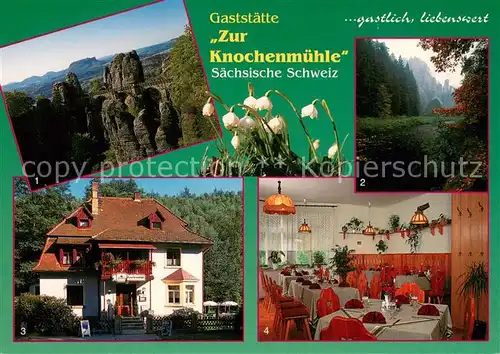 AK / Ansichtskarte Langenwolmsdorf_Stolpen Panorama Gaststaette Zur Knochenmuehle Gaststube Langenwolmsdorf_Stolpen