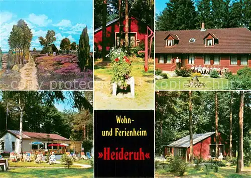 AK / Ansichtskarte Buchholz_Nordheide Heidelandschaft Wohn und Ferienheim Heideruh Details Buchholz Nordheide