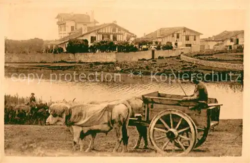 AK / Ansichtskarte Landwirtschaft LB NR.82 Types Basques 