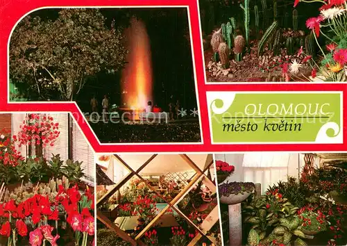 AK / Ansichtskarte Olomouc_Olmuetz_CZ Flora olomoucke parky a vystavni pavilony  