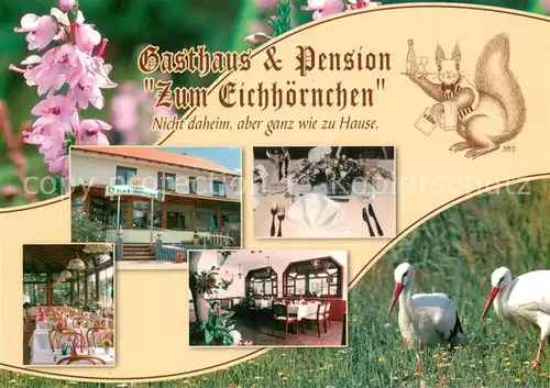 AK / Ansichtskarte Reichenhain Gasthaus Pension Zum Eichhoernchen Gastraeume Stoerche Reichenhain