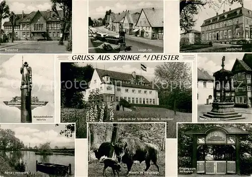 AK / Ansichtskarte Springe_Deister Bahnhof Lange Str Jagdschloss Landheim Marienbrunnen Volkspark Eingang Wisente Freigehege Springe_Deister