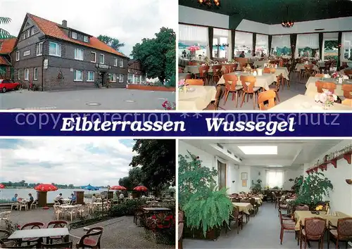 AK / Ansichtskarte Wussegel Restaurant Cafe Elbterrassen Gastraeume Wussegel