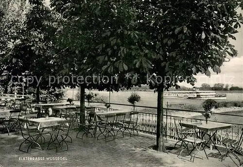 AK / Ansichtskarte Wussegel Restaurant Elbterrassen Wussegel