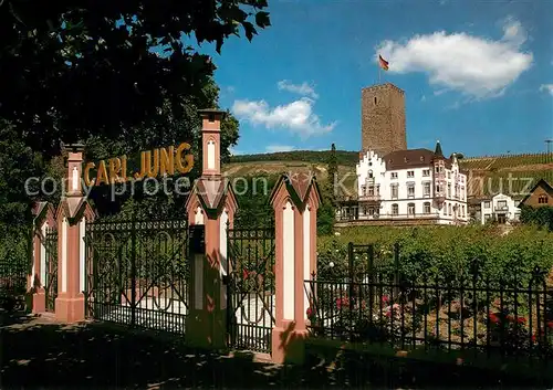 AK / Ansichtskarte Ruedesheim_am_Rhein Carl Jung GmbH Weingut Schloss Boosenburg 