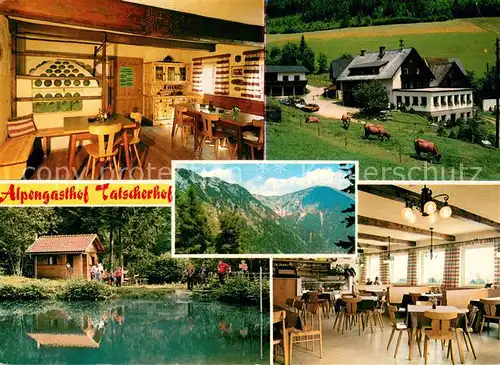 AK / Ansichtskarte Kapellen_Steiermark Alpengasthof Tatscherhof Gasthof Pension Griesmeier Teich Gaststuben Kapellen_Steiermark