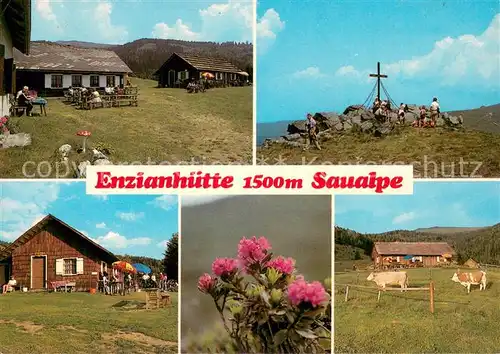 AK / Ansichtskarte Enzianhuette_1500m_Wieting Saualpe Teilansichten 