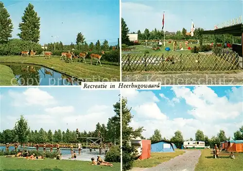 AK / Ansichtskarte Heerhugowaard Wildgehege Campingplatz Freibad Heerhugowaard