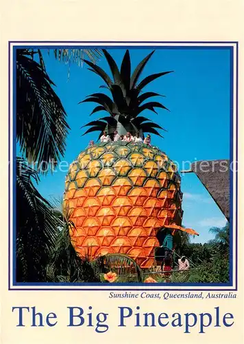 AK / Ansichtskarte Queensland The Big Pineapple Sunshine Plantation Queensland