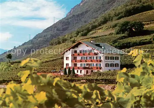 AK / Ansichtskarte Tramin_Weinstrasse  Hotel Pension Schneckenthalerhof Tramin_Weinstrasse 