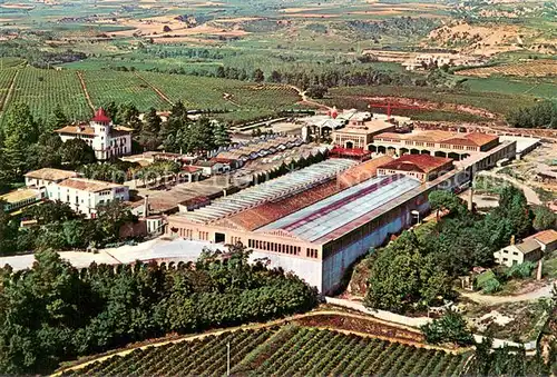 AK / Ansichtskarte Cavas_Codorniu_ES Vista aerea 