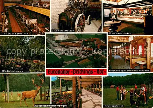 AK / Ansichtskarte Sythen Europahof Prickings Hof Bauernhof Museum Sythen