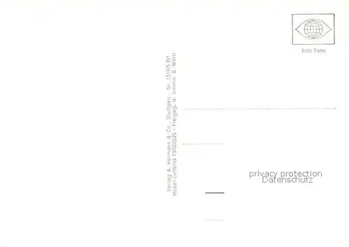 AK / Ansichtskarte Zavelstein Fliegeraufnahme Zavelstein