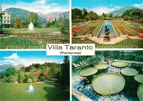 AK / Ansichtskarte Pallanza_Italia Giardini di Villa Taranto 