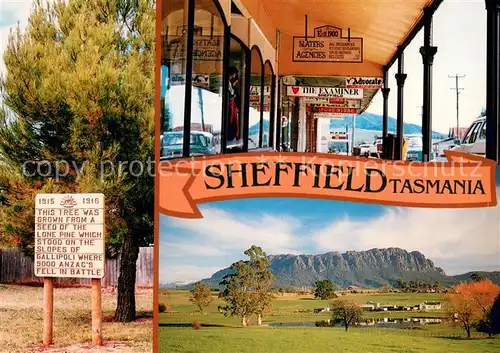 AK / Ansichtskarte Sheffield_Tasmania Peaceful farmlands 