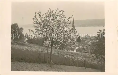 AK / Ansichtskarte Horgen_ZH Teilansicht m. See Horgen_ZH