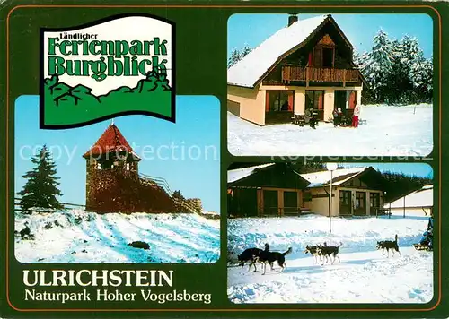 AK / Ansichtskarte Ulrichstein Ferienpark Burgblick Schlittenhundegespann Ulrichstein