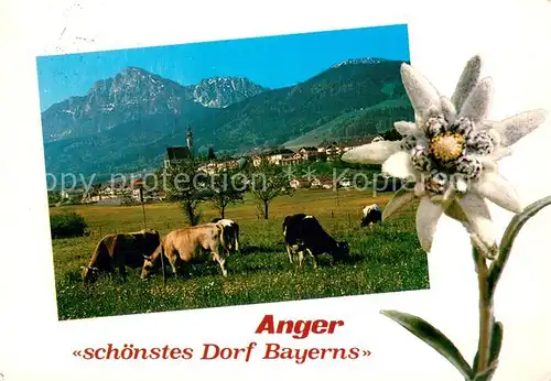 AK / Ansichtskarte Anger_Bad_Reichenhall Panorama mit Hochstaufen 