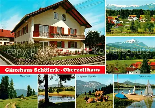 AK / Ansichtskarte Oberzollhaus Gaestehaus Schoeferle Panorama Moorweg Schwarzenberger Weiher Allgaeuer Alpvieh Gruentensee Oberzollhaus