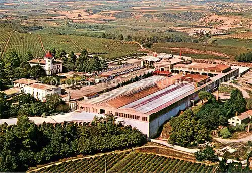 AK / Ansichtskarte Cavas_Codorniu_ES Fliegeraufnahme 