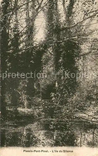AK / Ansichtskarte Plessix Pont Pinel Ile du Silence 